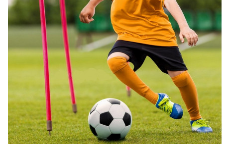 Stage jeunes Automne 2026
